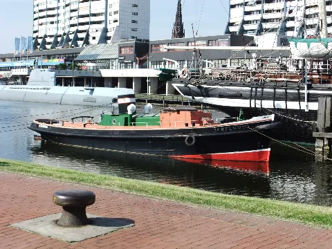 Bhv Dsm Schlepper Helmut