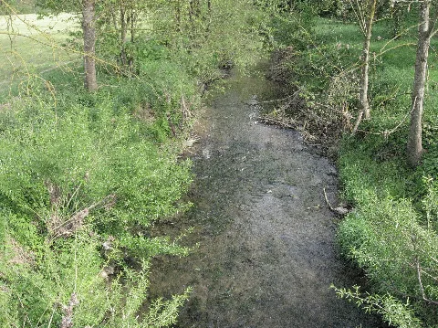 Bibers 200 M Vor Ihrer Mündung In Den Kocher Bei Rosengarten Westheim, Blick Flussabwärts