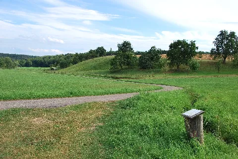 Bibers In Waldenburg 2