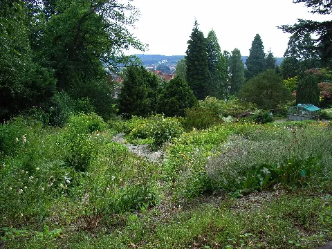 Bielefeld Botanischer Garten 2