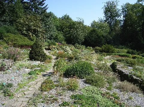 Bielefeld Botanischer Garten Alpinum 1