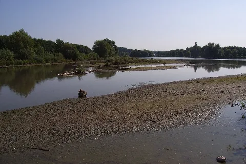 Bielefeld Obersee Verlandung