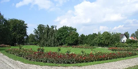 Bielefeld Rosengarten