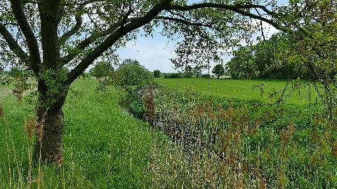 Billerbachwiesen 02