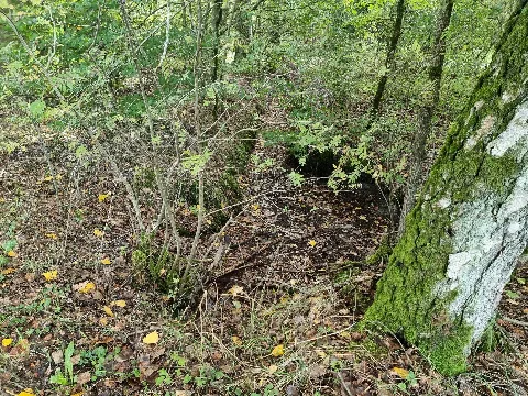 Billung Bach (Ehlbeck)