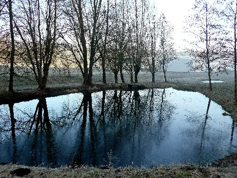 Biotop Bei Gechingen (Im Hintergrund, Frielitz Fahrzeugbau) Panoramio