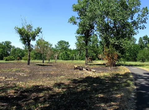 Biotopverbund Spreeaue Nature Reserve, Cottbus (Former Irrigation Fields At Cb Saspow)
