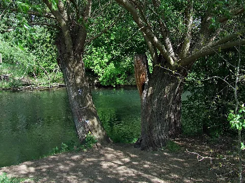 Biotopverbund Spreeaue Nature Reserve, Cottbus (Spree In Cb Saspow 2)