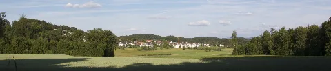 Birchwylnürensdorfi
