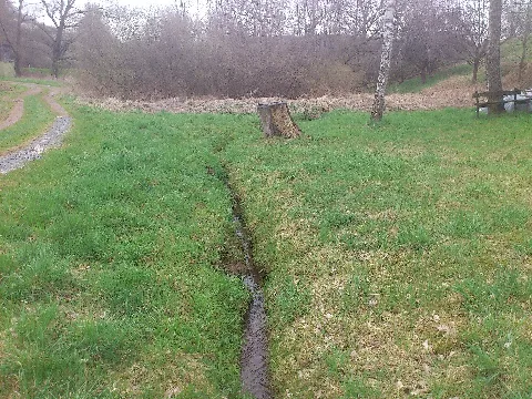 Birkbach