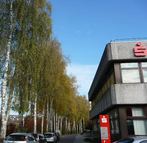 Birken An Der Sparkasse Panoramio