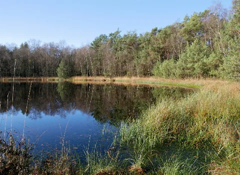 Birkensee Im Oktober 2017