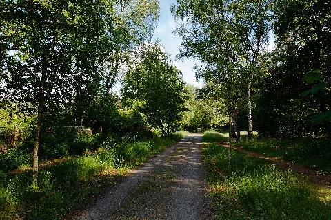 Birkenweg In Der Köllnischen Heide 20140524 27