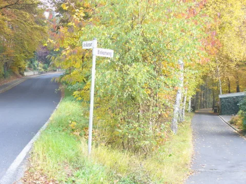 Birkenweg, Prum Geo.hlipp.de 6638