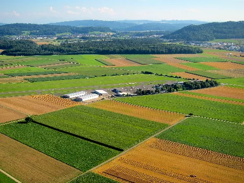 Birrfeld 20120731 Martinsteiger Ccbysa 001
