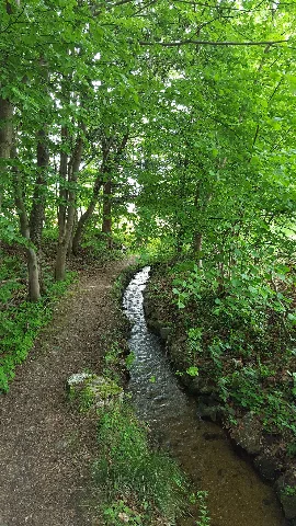 Bischofsgrün Mai 2015 Bocksgrabenbach Bei Fichtelbg