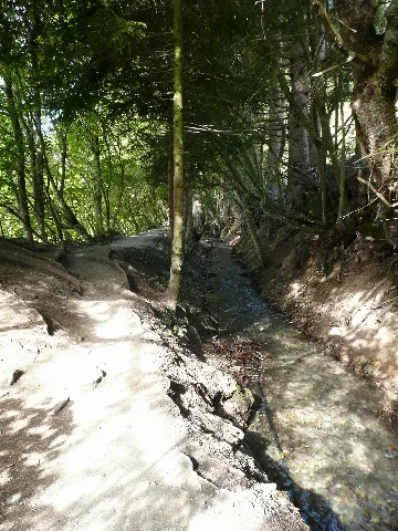 Bisse De Savièse (Torrent Neuf) 5