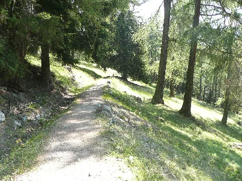 Bisse De Saxon 3