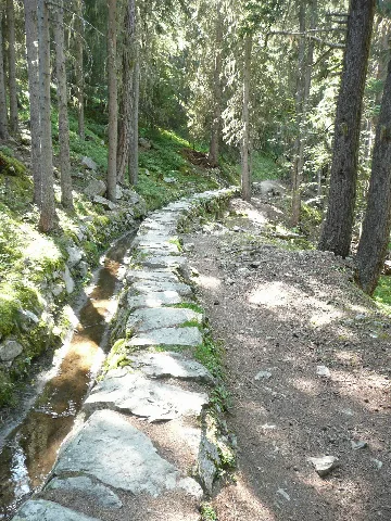 Bisse De Saxon 4