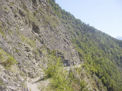 Bisse Sillonin