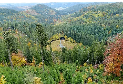 Black Forest Ellbachsee (10561928395)