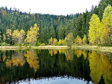 Black Forest Ellbachsee (10561961884)