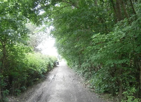 Blankenfelde Alsaceweg Ost 39 52