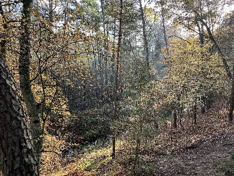 Naturschutzgebiet Glasowbachniederung auf dem Gebiet der Gemeinde Blankenfelde-Mahlow im Landkreis Teltow-Fläming in Brandenburg.