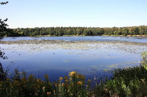 Blauer See Bei Ahlten