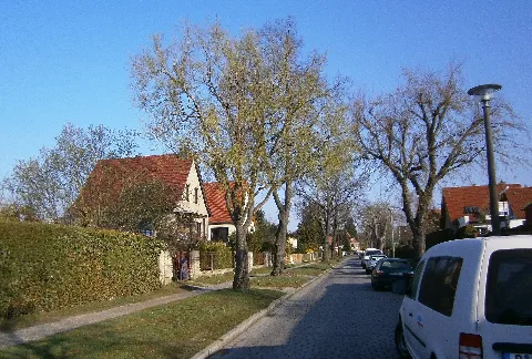 Blbg Jungbornstr