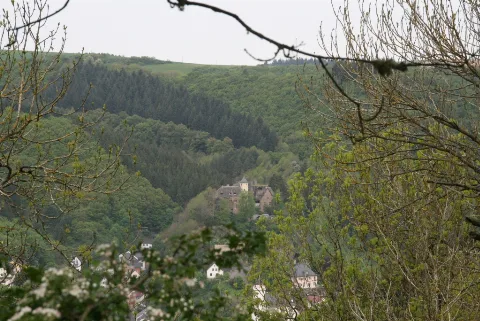 Blick Auf Burg Neuerburg By Niederkasseler Panoramio