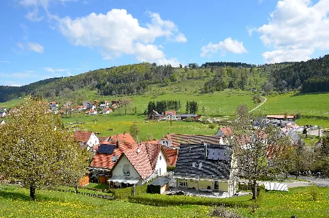 Blick Auf Das Naturschutzgebiet Scheibhalden, Oberdigisheim (2019)