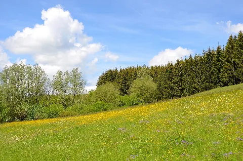 Blick Auf Das Nsg Tiefer Weg, Biotop Bei Ratshausen (2019)
