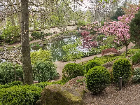 Blick Auf Den Oberen Teich Japanischer Garten Kaiserslautern
