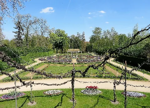 Blick Auf Den Rosengarten