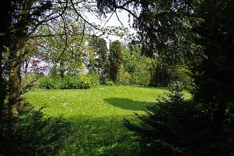 Blick Auf Die Wiese