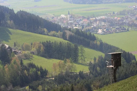 Blick Auf Großlobming Panoramio