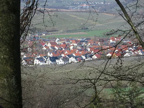 Blick Auf Lehrensteinsfeld Vom Steinbuchwald 20210328