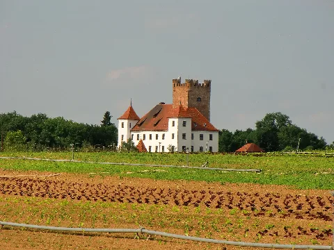 Blick Auf Schloss Reisensburg