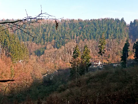Blick In Das Nagoldtal Richtung Norden Panoramio