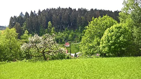 Blick Ins Schleifbachtal