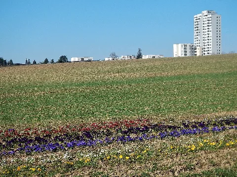Blick Richtung Bietigheim Bissingen Panoramio