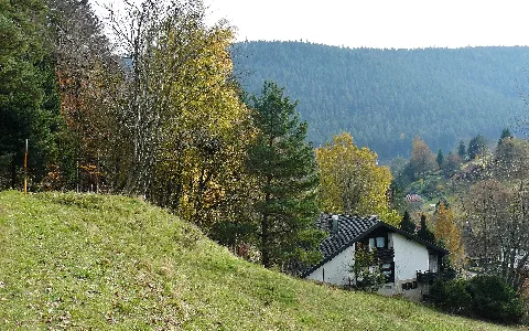Blick Richtung Enzklösterle Panoramio