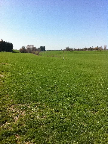 Blick Richtung Quelle