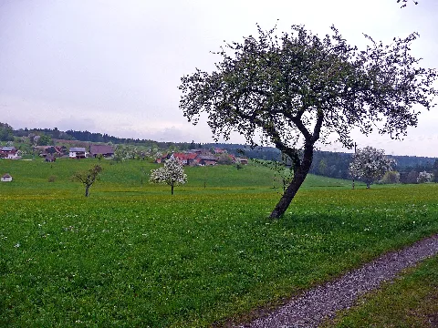 Blick Richtung Unterkollbach Panoramio