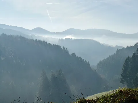Blick Richtung Westen Panoramio (4)