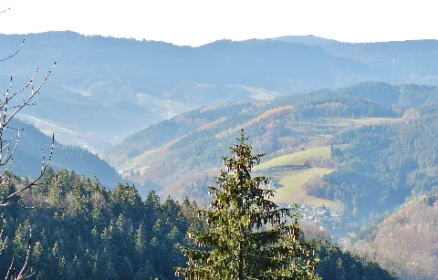 Blick Richtung Westen Panoramio (5)