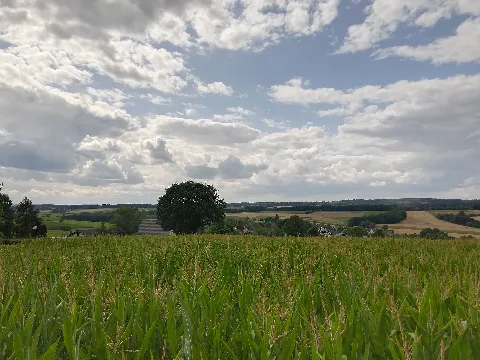 Blick Über Forstmehren