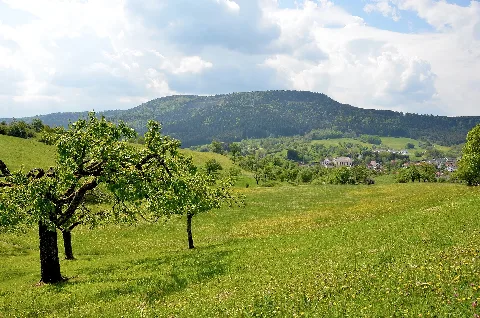 Blick Über Ratshausen Zum Ortenberg Im Nsg Und Waldschutzgebiet Ortenberg