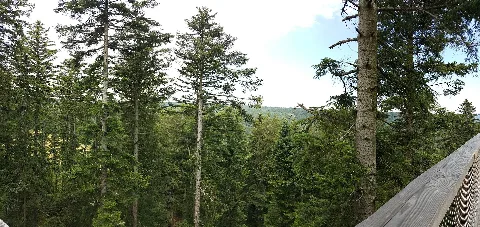 Blick Vom Baumwipfelpfad Panoramio Andy Mendyk